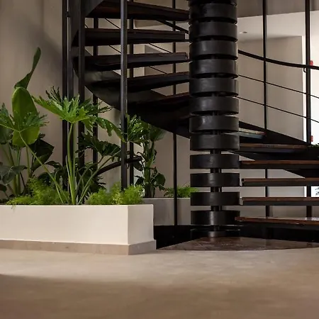 Ξενοδοχείο Ladiko -